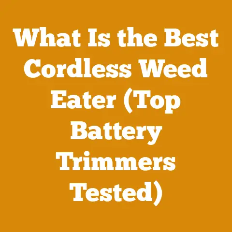 What Is the Best Cordless Weed Eater (Top Battery Trimmers Tested)
