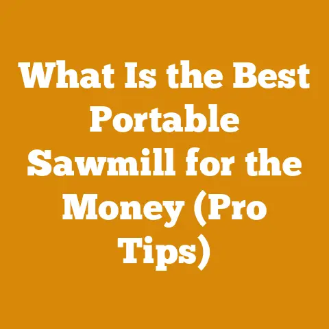 What Is the Best Portable Sawmill for the Money (Pro Tips)