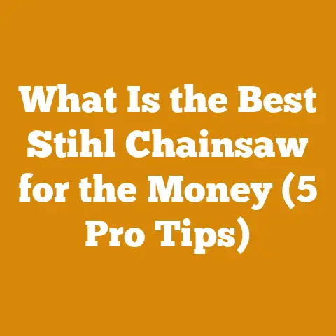 What Is the Best Stihl Chainsaw for the Money (5 Pro Tips)
