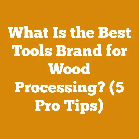 What Is the Best Tools Brand for Wood Processing? (5 Pro Tips)