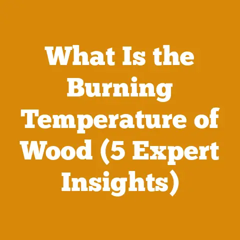 What Is the Burning Temperature of Wood (5 Expert Insights)