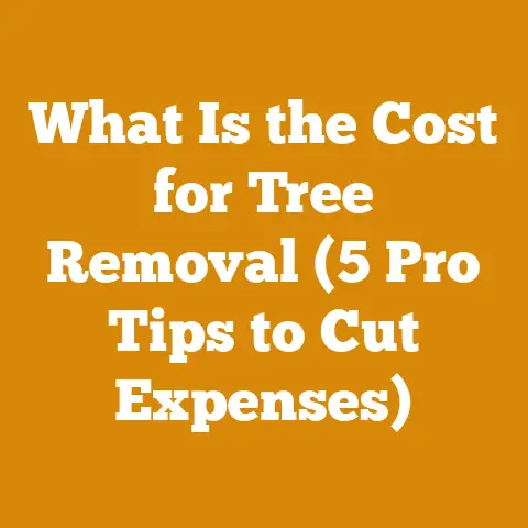 What Is the Cost for Tree Removal (5 Pro Tips to Cut Expenses)