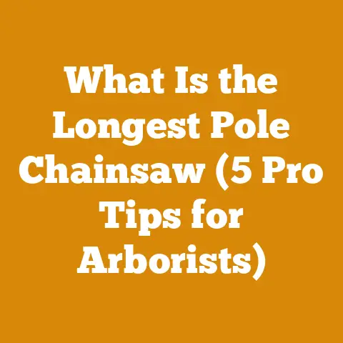 What Is the Longest Pole Chainsaw (5 Pro Tips for Arborists)