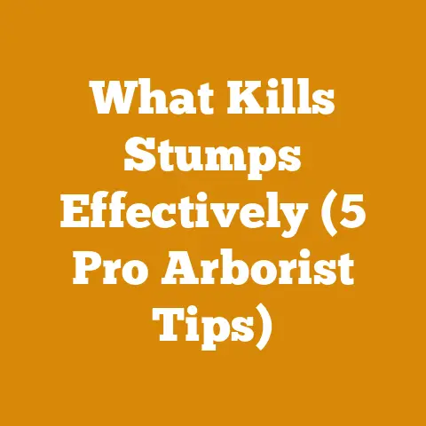 What Kills Stumps Effectively (5 Pro Arborist Tips)