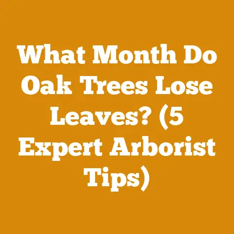 What Month Do Oak Trees Lose Leaves? (5 Expert Arborist Tips)
