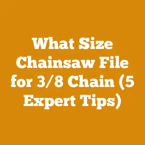 What Size Chainsaw File for 3/8 Chain (5 Expert Tips)