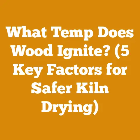 What Temp Does Wood Ignite? (5 Key Factors for Safer Kiln Drying)