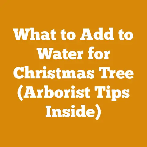 What to Add to Water for Christmas Tree (Arborist Tips Inside)