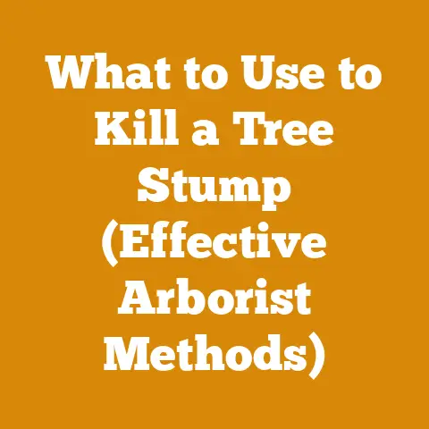 What to Use to Kill a Tree Stump (Effective Arborist Methods)