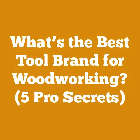 What’s the Best Tool Brand for Woodworking? (5 Pro Secrets)