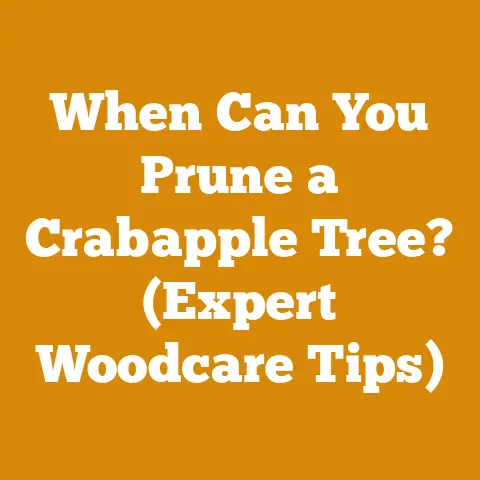 When Can You Prune a Crabapple Tree? (Expert Woodcare Tips)