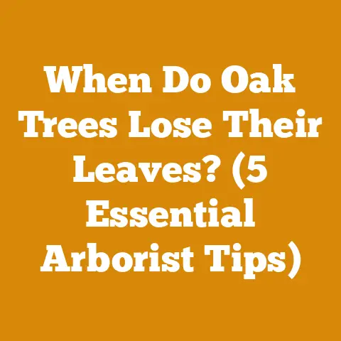 When Do Oak Trees Lose Their Leaves? (5 Essential Arborist Tips)