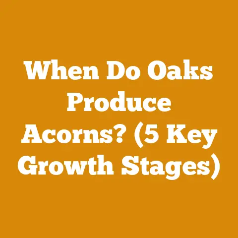 When Do Oaks Produce Acorns? (5 Key Growth Stages)