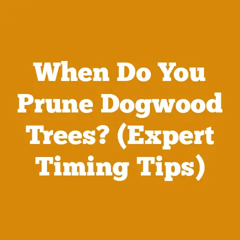 When Do You Prune Dogwood Trees? (Expert Timing Tips)