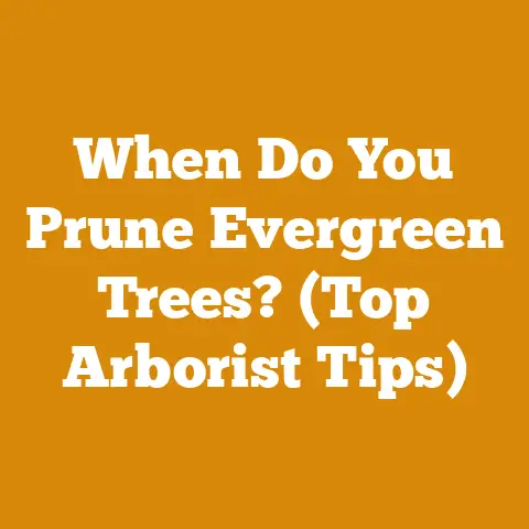 When Do You Prune Evergreen Trees? (Top Arborist Tips)