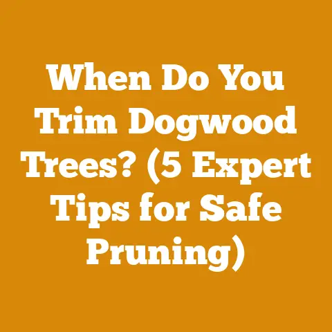 When Do You Trim Dogwood Trees? (5 Expert Tips for Safe Pruning)