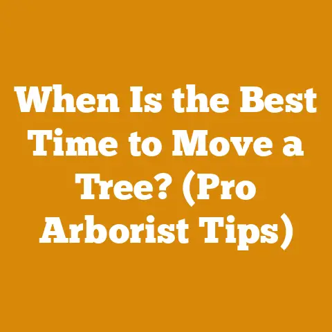 When Is the Best Time to Move a Tree? (Pro Arborist Tips)