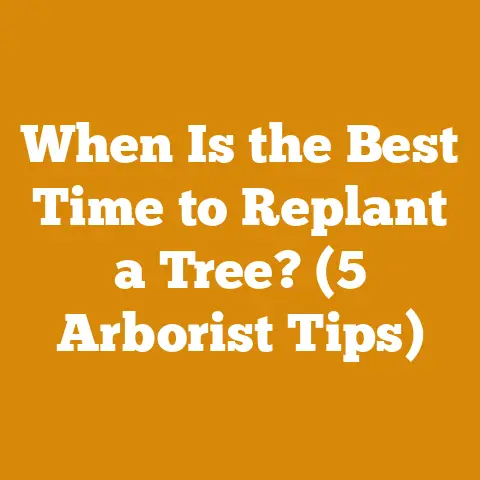 When Is the Best Time to Replant a Tree? (5 Arborist Tips)