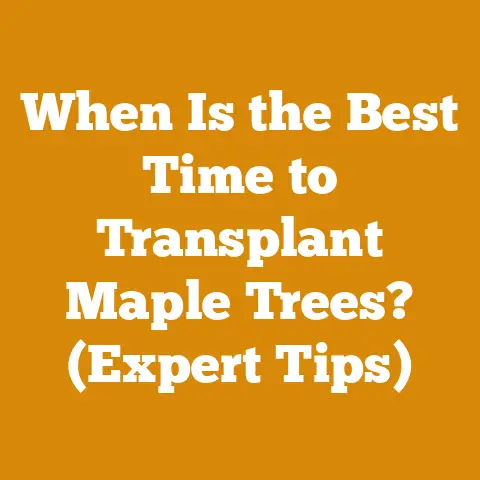 When Is the Best Time to Transplant Maple Trees? (Expert Tips)