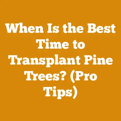 When Is the Best Time to Transplant Pine Trees? (Pro Tips)