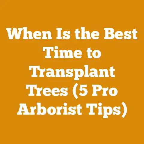 When Is the Best Time to Transplant Trees (5 Pro Arborist Tips)