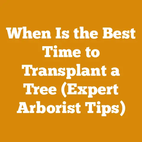 When Is the Best Time to Transplant a Tree (Expert Arborist Tips)