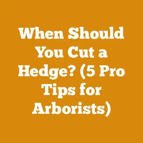 When Should You Cut a Hedge? (5 Pro Tips for Arborists)
