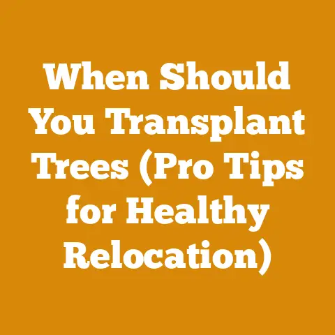 When Should You Transplant Trees (Pro Tips for Healthy Relocation)