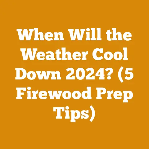 When Will the Weather Cool Down 2024? (5 Firewood Prep Tips)