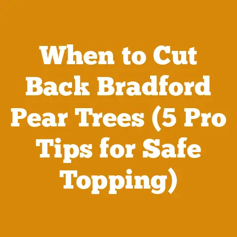 When to Cut Back Bradford Pear Trees (5 Pro Tips for Safe Topping)