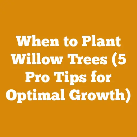 When to Plant Willow Trees (5 Pro Tips for Optimal Growth)