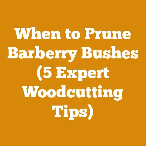 When to Prune Barberry Bushes (5 Expert Woodcutting Tips)
