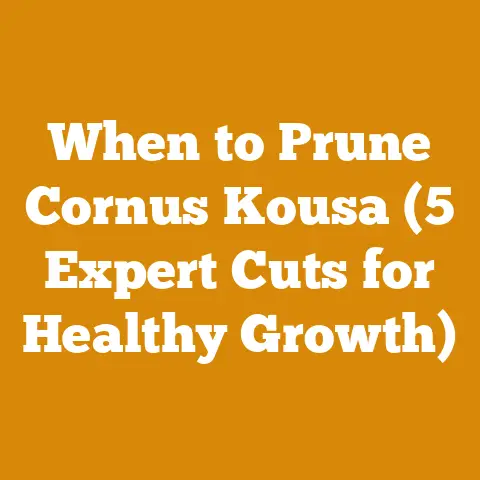 When to Prune Cornus Kousa (5 Expert Cuts for Healthy Growth)