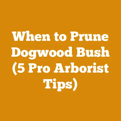 When to Prune Dogwood Bush (5 Pro Arborist Tips)