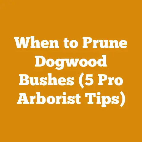 When to Prune Dogwood Bushes (5 Pro Arborist Tips)