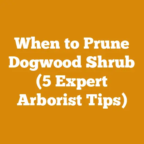 When to Prune Dogwood Shrub (5 Expert Arborist Tips)
