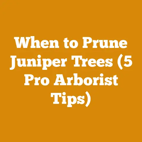 When to Prune Juniper Trees (5 Pro Arborist Tips)