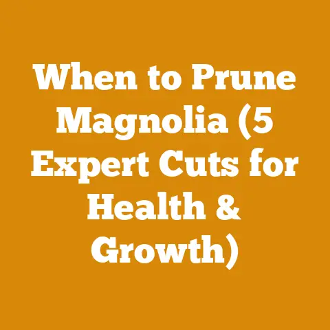 When to Prune Magnolia (5 Expert Cuts for Health & Growth)