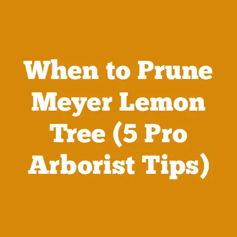 When to Prune Meyer Lemon Tree (5 Pro Arborist Tips)