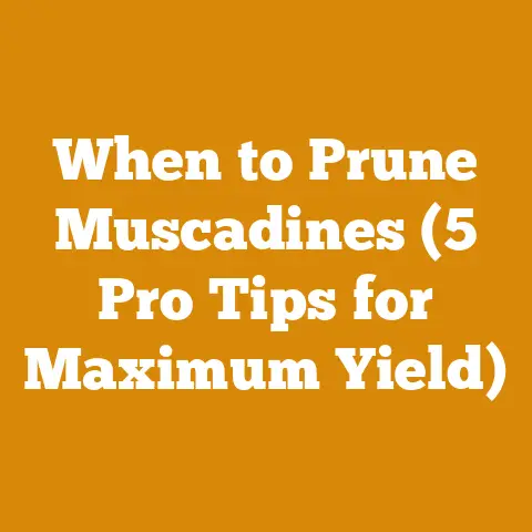 When to Prune Muscadines (5 Pro Tips for Maximum Yield)