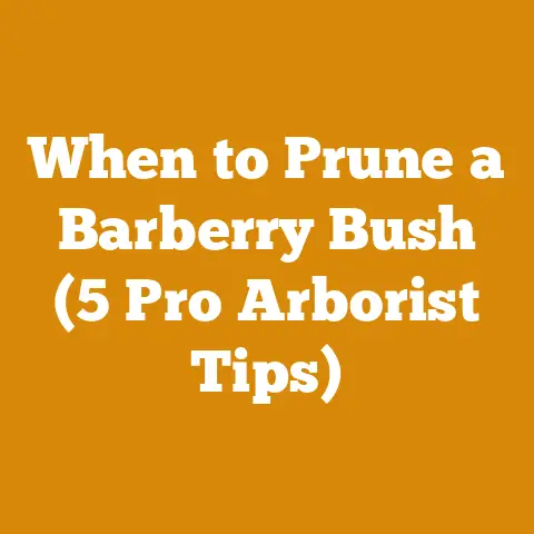 When to Prune a Barberry Bush (5 Pro Arborist Tips)