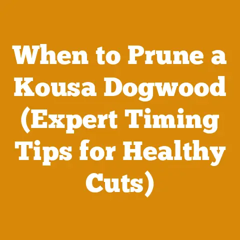 When to Prune a Kousa Dogwood (Expert Timing Tips for Healthy Cuts)