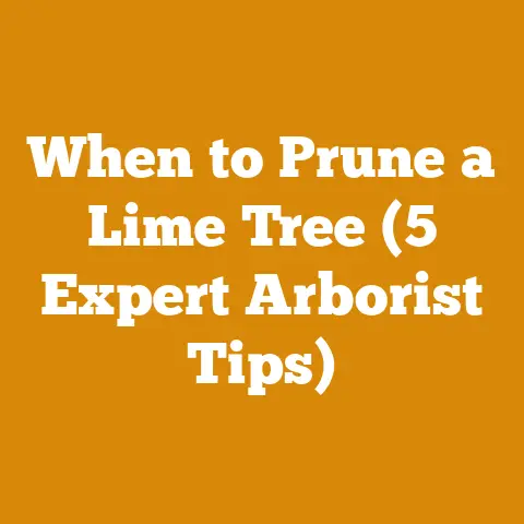 When to Prune a Lime Tree (5 Expert Arborist Tips)