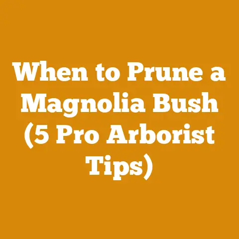 When to Prune a Magnolia Bush (5 Pro Arborist Tips)