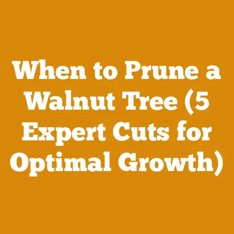 When to Prune a Walnut Tree (5 Expert Cuts for Optimal Growth)