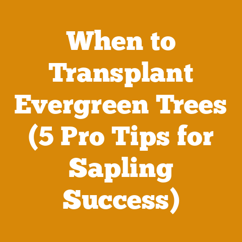 When to Transplant Evergreen Trees (5 Pro Tips for Sapling Success)