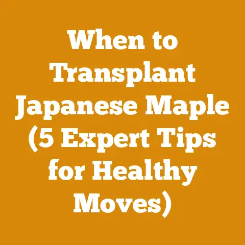 When to Transplant Japanese Maple (5 Expert Tips for Healthy Moves)