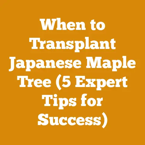 When to Transplant Japanese Maple Tree (5 Expert Tips for Success)