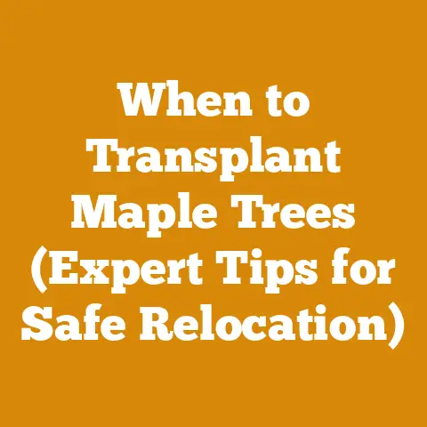 When to Transplant Maple Trees (Expert Tips for Safe Relocation)