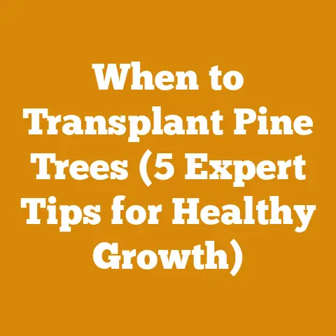 When to Transplant Pine Trees (5 Expert Tips for Healthy Growth)